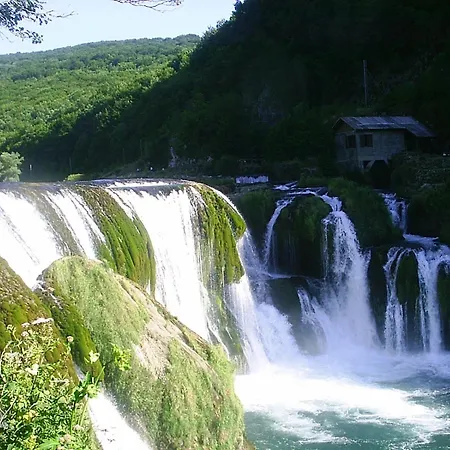 Apartman Lajla