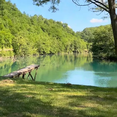 Lajla * Orašac